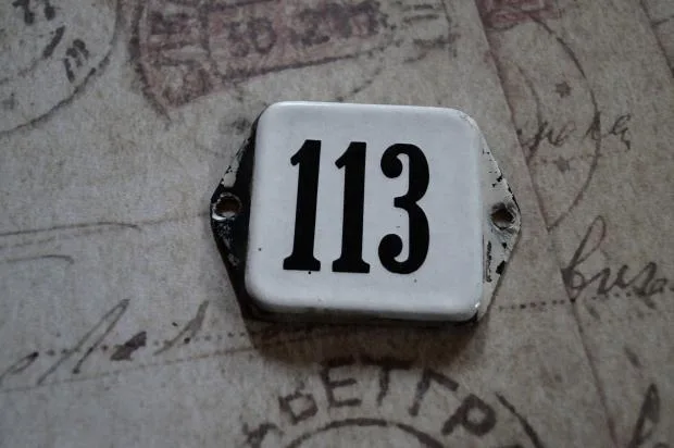 дом номер 113