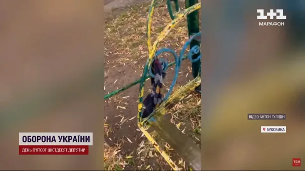 Дитячі каруселі з мотузками для прив'язування / © ТСН
