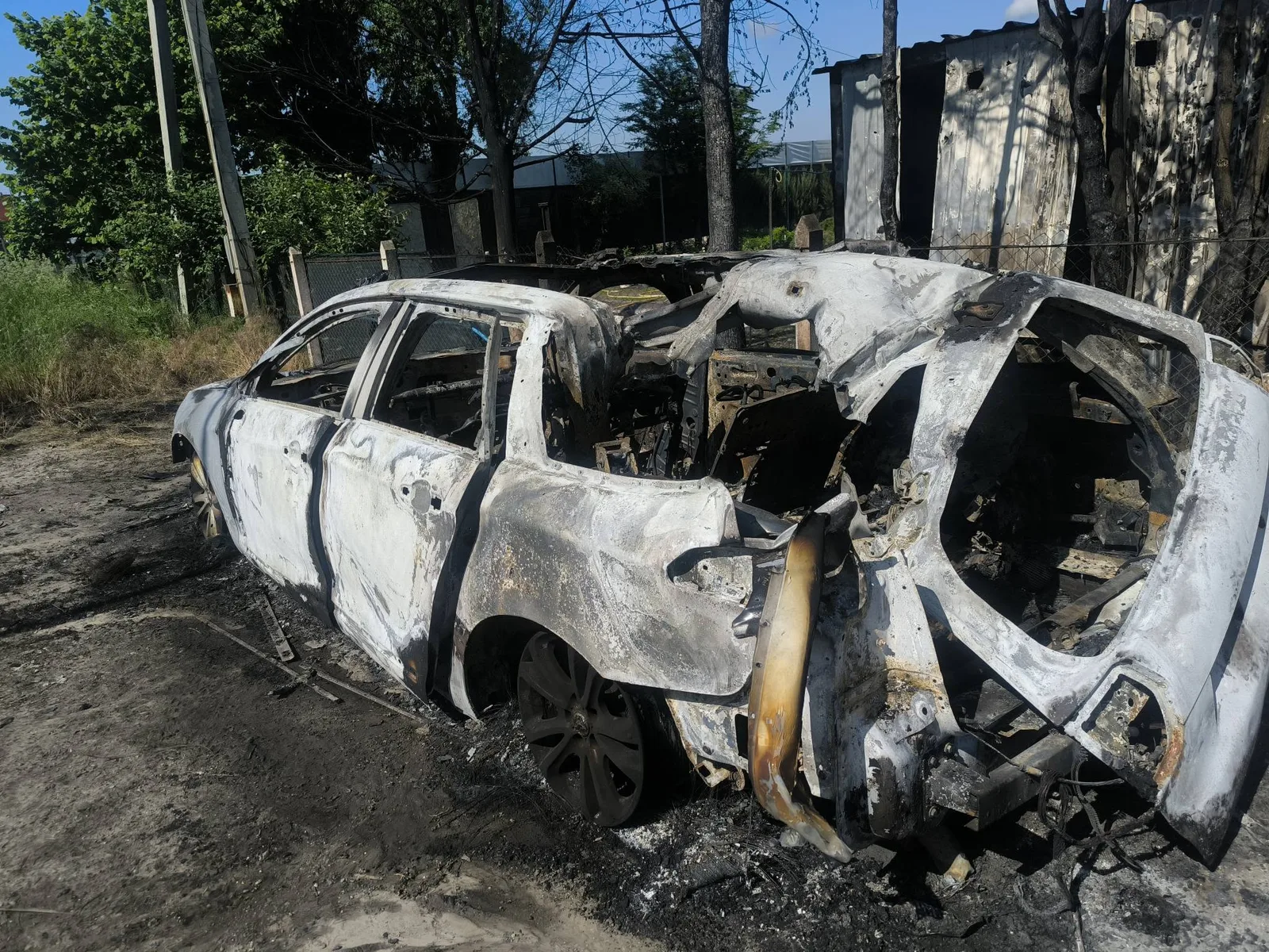 Вони нищать усе живе!