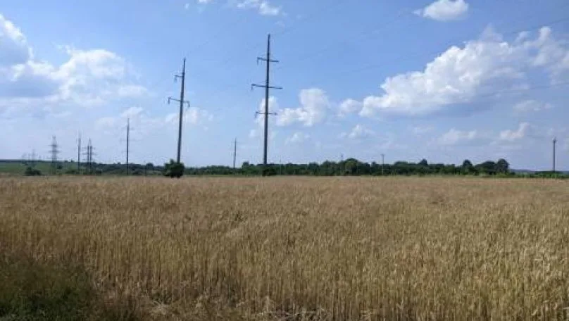 У Львові суд повернув громаді 2,5 га землі, яку безкоштовно передали кооперативу