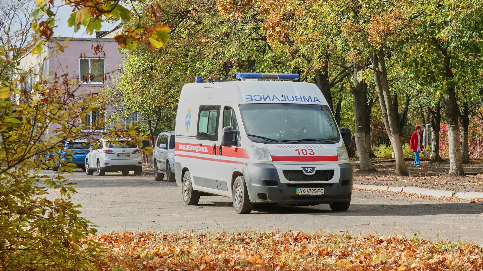 Повалене вітром дерево заблокувало "швидку" в Харківській області