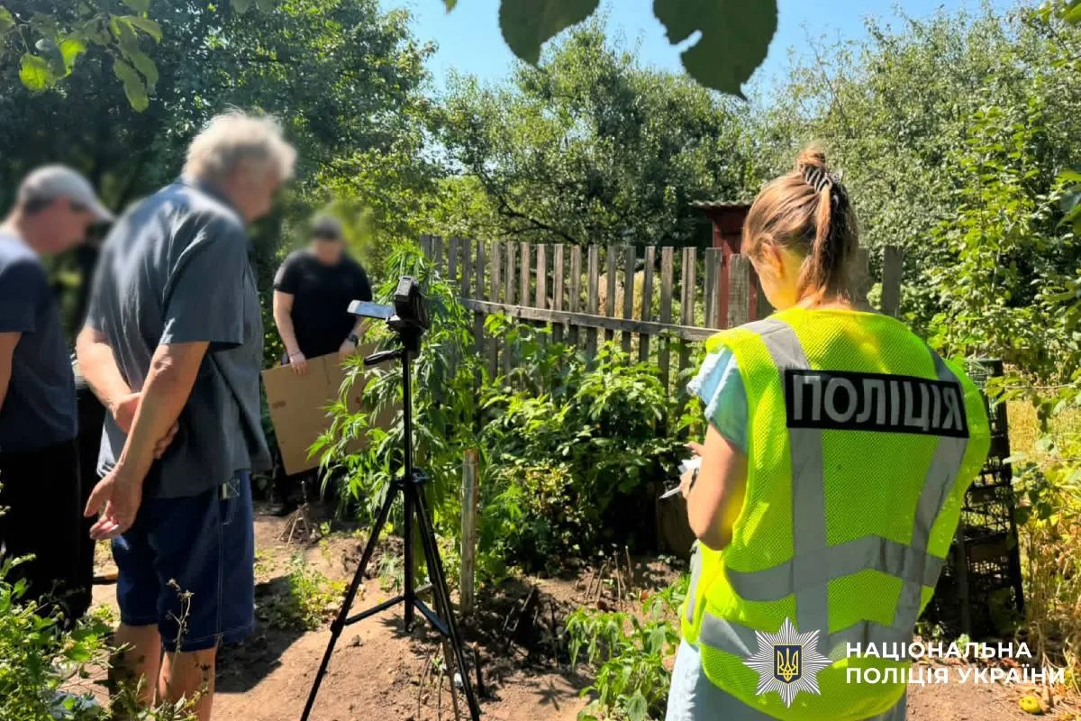 П'ять років за коноплю в огороді: харків'янку судитимуть за вирощування забороненої рослини