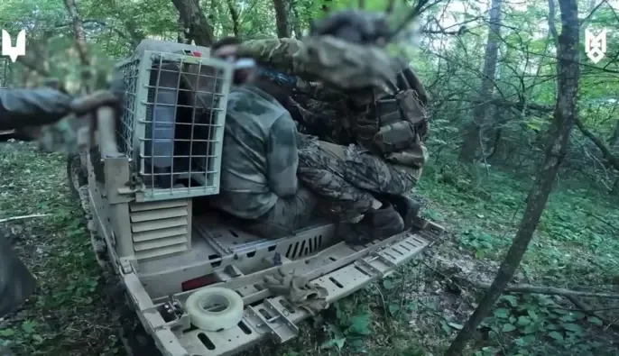 "Хотіли жити": троє полонених росіян пробігли "нормативи" ССО під ворожими дронами