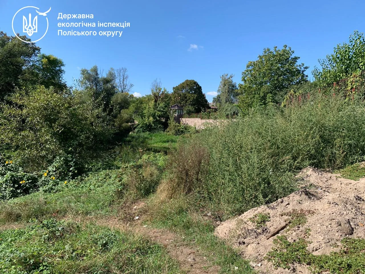 Прибережна зона річки Уж у Коростені
