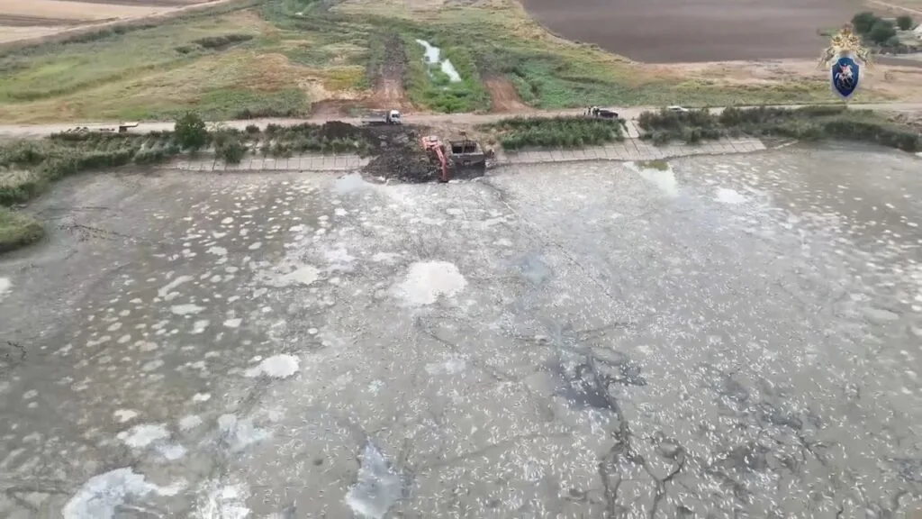 Демонтаж затвора на гідроспоруді спричинив різке зниження рівня води на Домузлі.