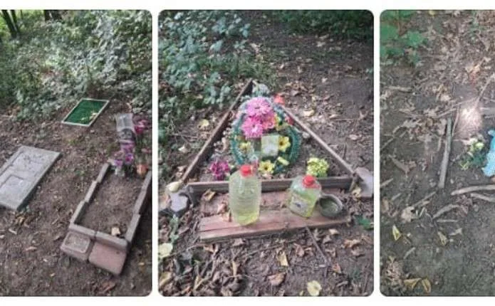 Заборонено / дозволено / штраф: про поховання домашніх тварин у парках Чернівців