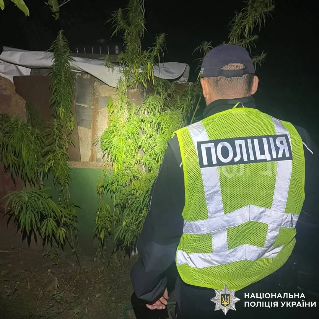На Харківщині чоловіка підозрюють у незаконному вирощуванні конопель