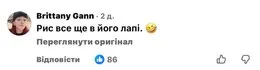 Реакция сети на хомяка