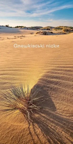 Олешковские пески: чем они интересны