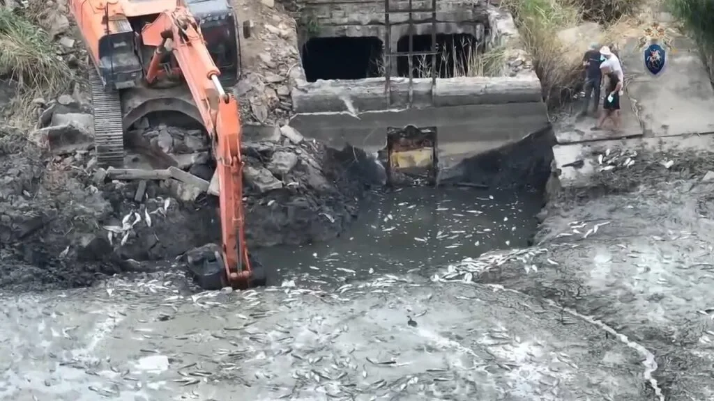 Демонтаж затвора на гідроспоруді спричинив різке зниження рівня води на Домузлі.