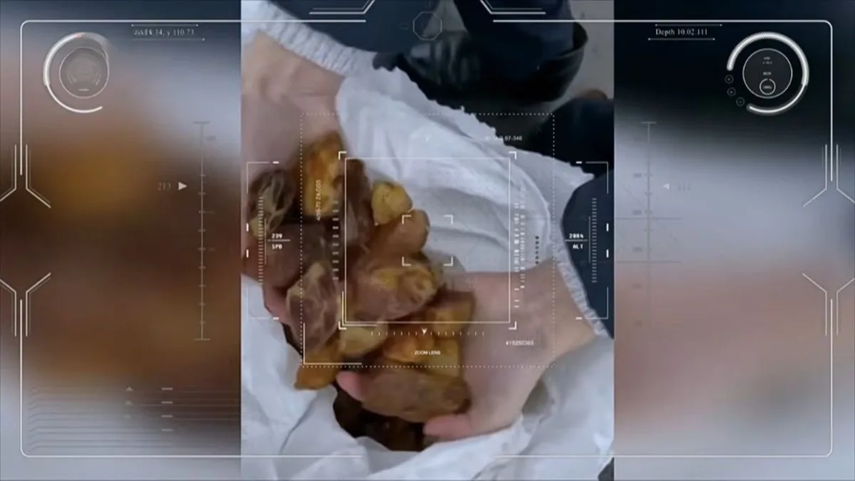 Кратери замість лісу: як на Рівненщині під виглядом геології видобували бурштин на 354 мільйони?