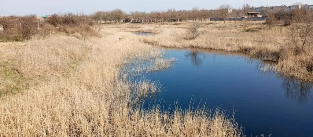 Річка Домузла