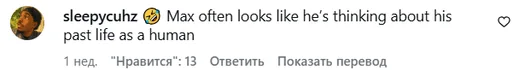 Реакция сети на собачку Макса