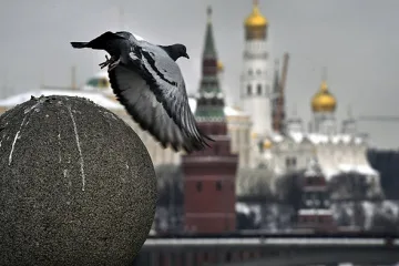 У Кремлі не побачили виходу на «мирний трек» після заяв Зеленського і Трампа