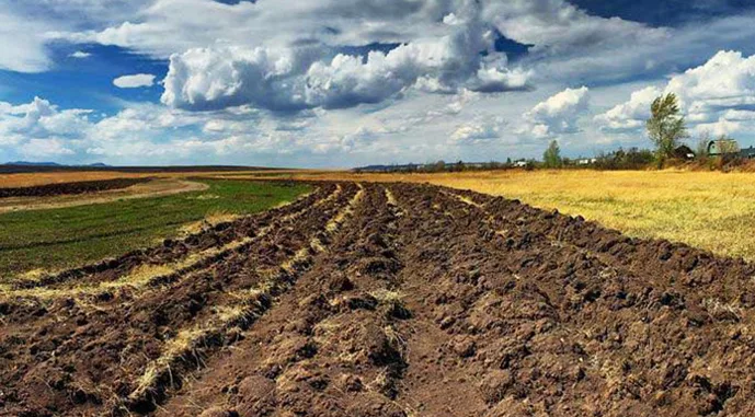 Земельна схема на Кіровоградщині: людей робили фермерами без їхнього відома