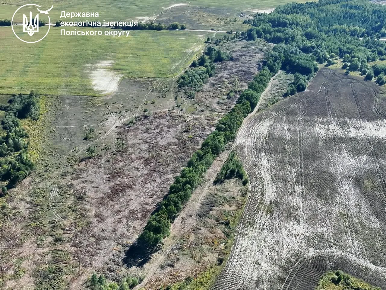 Залишки чагарників на землях сільськогосподарського призначення