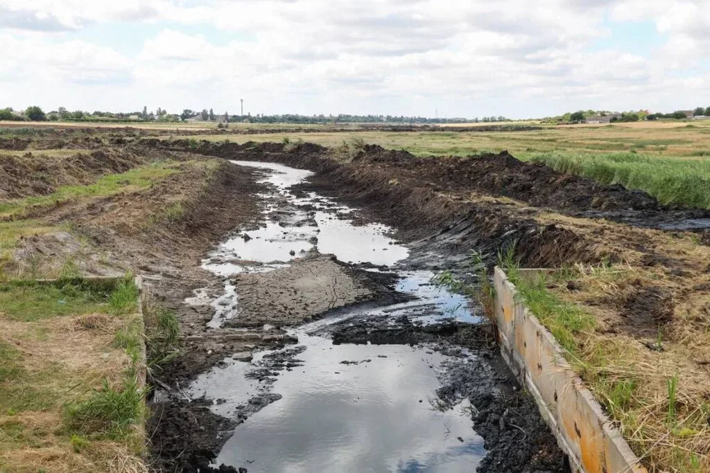 У межах робіт на Домузлі очищали русло та прилеглі береги.