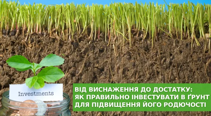 Від виснаження до достатку: як правильно інвестувати в ґрунт для підвищення його родючості