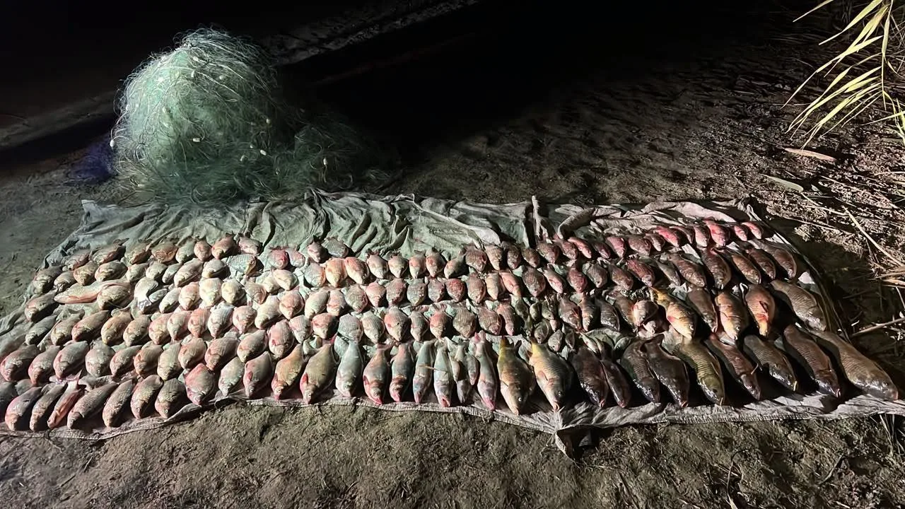 На озері Ялпуг ізмаїльські прикордонники затримали браконьєра із виловом на 400 тисяч гривень