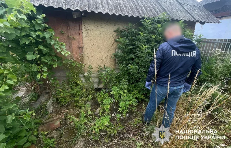 На Буковині під час спецоперації «Джентльмени» вилучили 2,5 кг канабісу та понад 200 кущів конопель