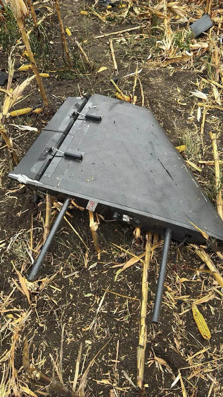 Фото поліції Молдови