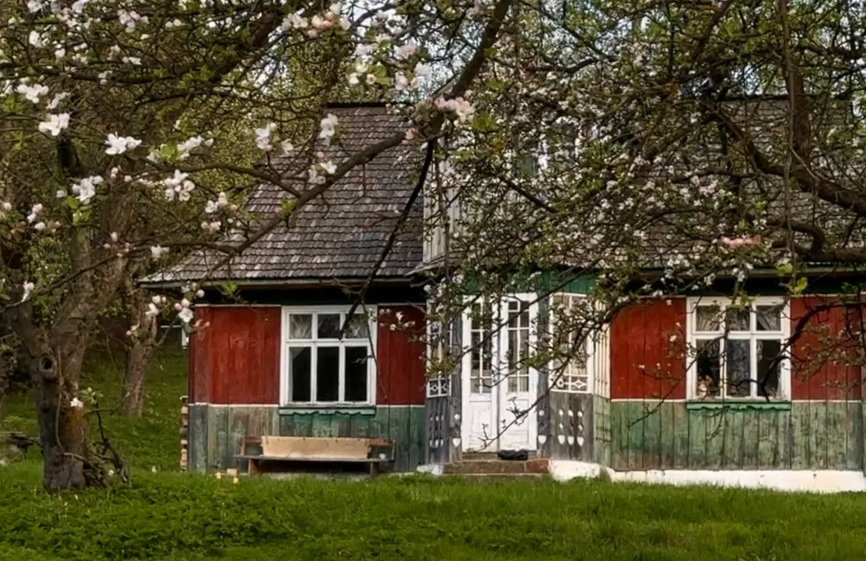 Женщина купила 100-летний дом в Карпатах за $13 тысяч: теперь там настоящий рай (фото)