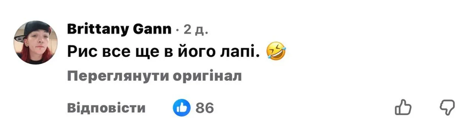 Реакция сети на хомяка