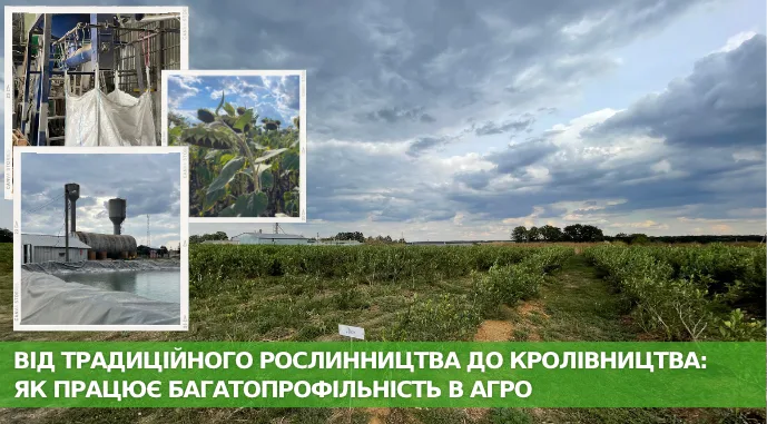 Від традиційного рослинництва до кролівництва: як працює багатопрофільність в агро