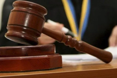 У Львові п’яний водій збив йоркширського тер’єра