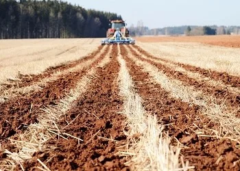 strip-till