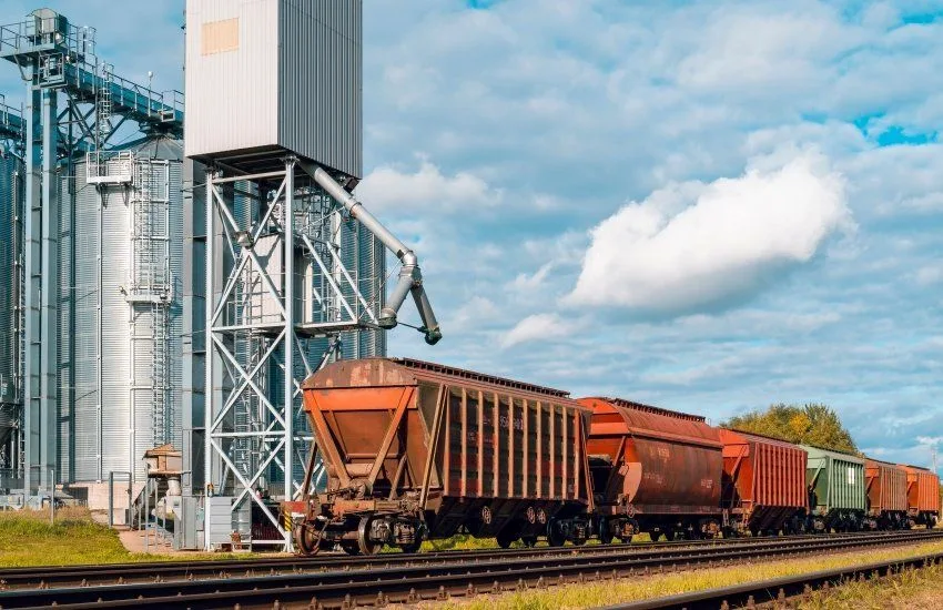 Експорт агропродукції у вересні: скільки зерна та олії Україна поставила за три тижні