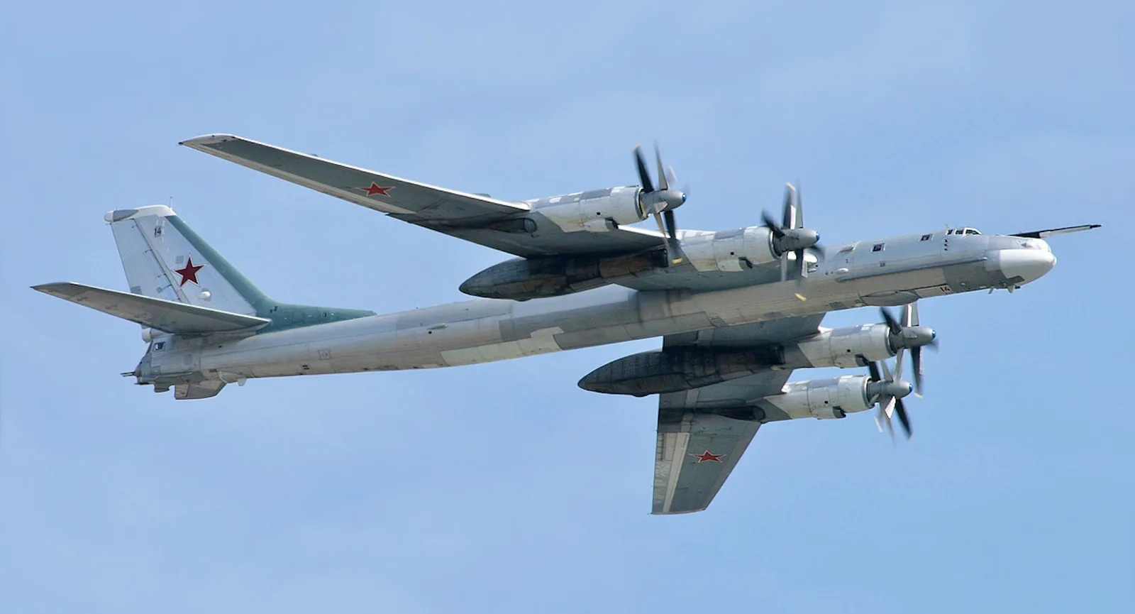 Разбились 6 членов экипажа: в Минобороны РФ подтвердили крушение Ту-95 в Амурской области