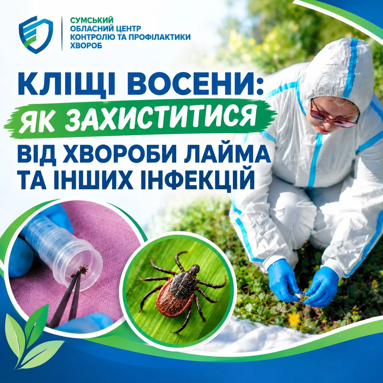 За 8 місяців 2026 року на Сумщині зареєстровано 361 випадок хвороби Лайма