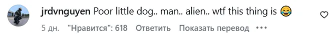 Реакция сети на собачку Макса