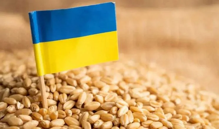 Експорт зерна перевищив 5 млн тонн