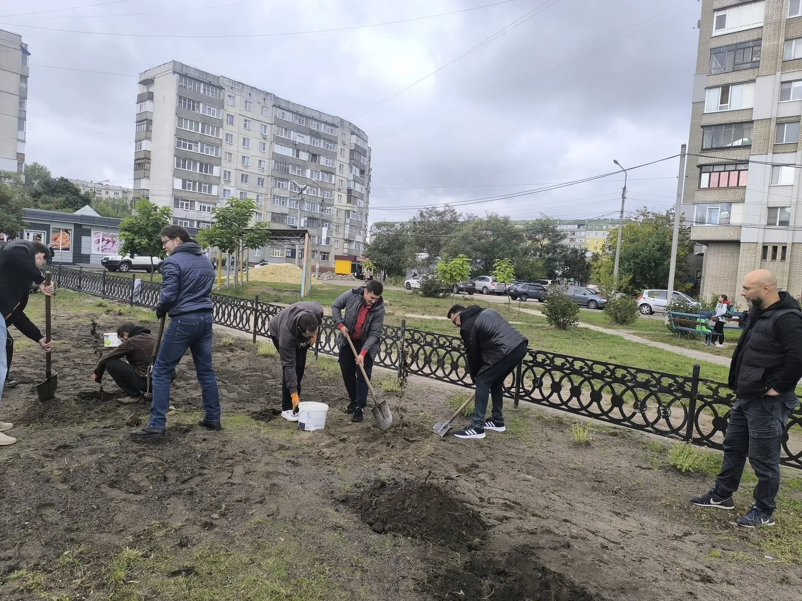 У Сумській спеціалізованій школі №17 висадили алею сакур