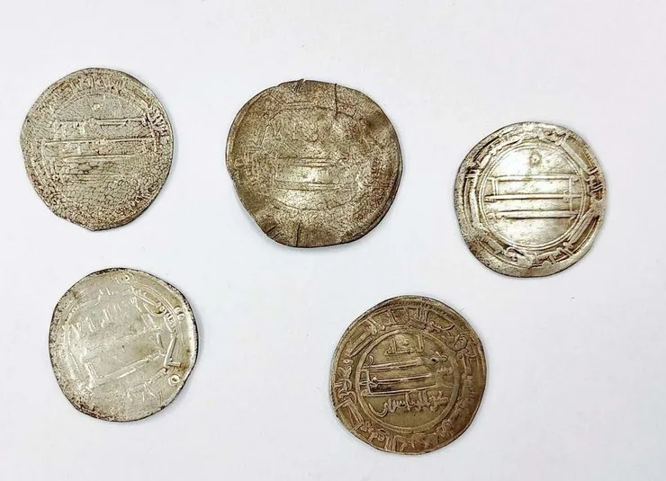 Серебряные монеты нашли в Трусо