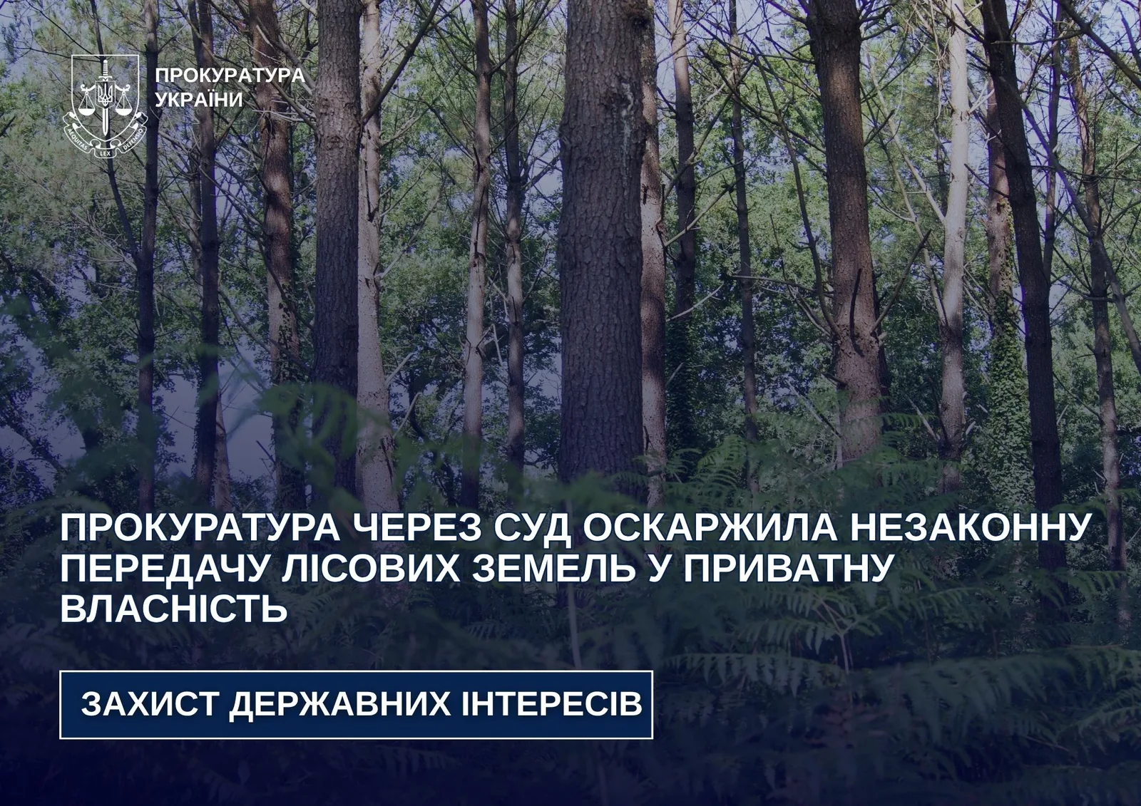 Лісові землі Звягельського району Житомирської області