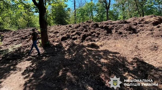 Розтрата на прибиранні парку: посадовицю з Подільського району підозрюють у збитках на 700 тисяч гривень