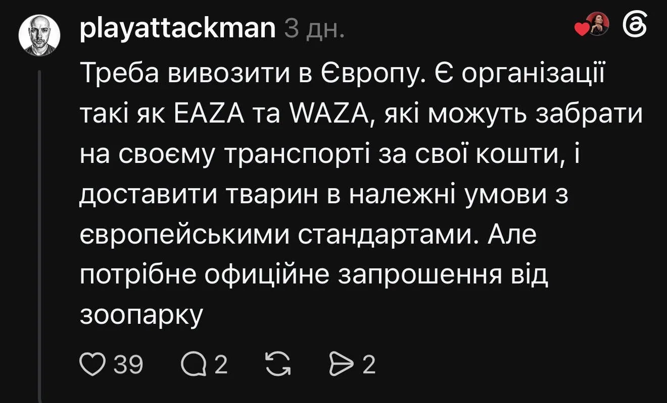 Кияни просять вивезти тварин KyivZoo до безпечних притулків ЄС