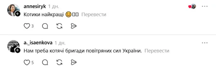 В сети прокомментировали видео с котиком