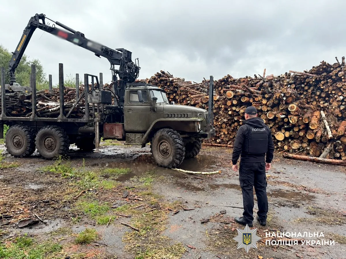 Незаконна вирубка лісу на Житомирщині