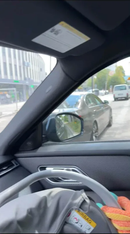 У Львові знайшлись прихильників улюблених стовпчиків Садового