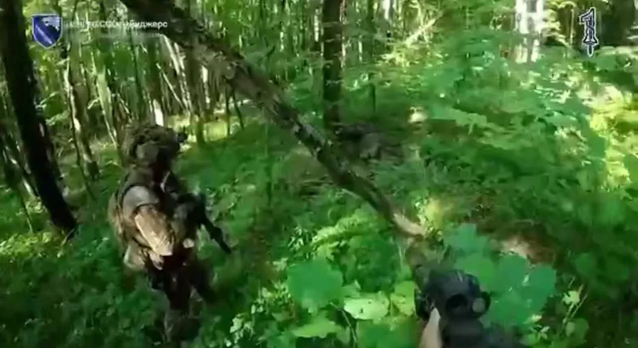 Боєць ССО в лісі