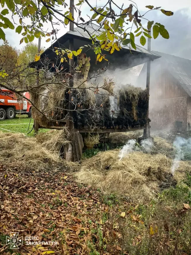На Рахівщині вогнеборці ліквідували пожежу в оборозі з сіном