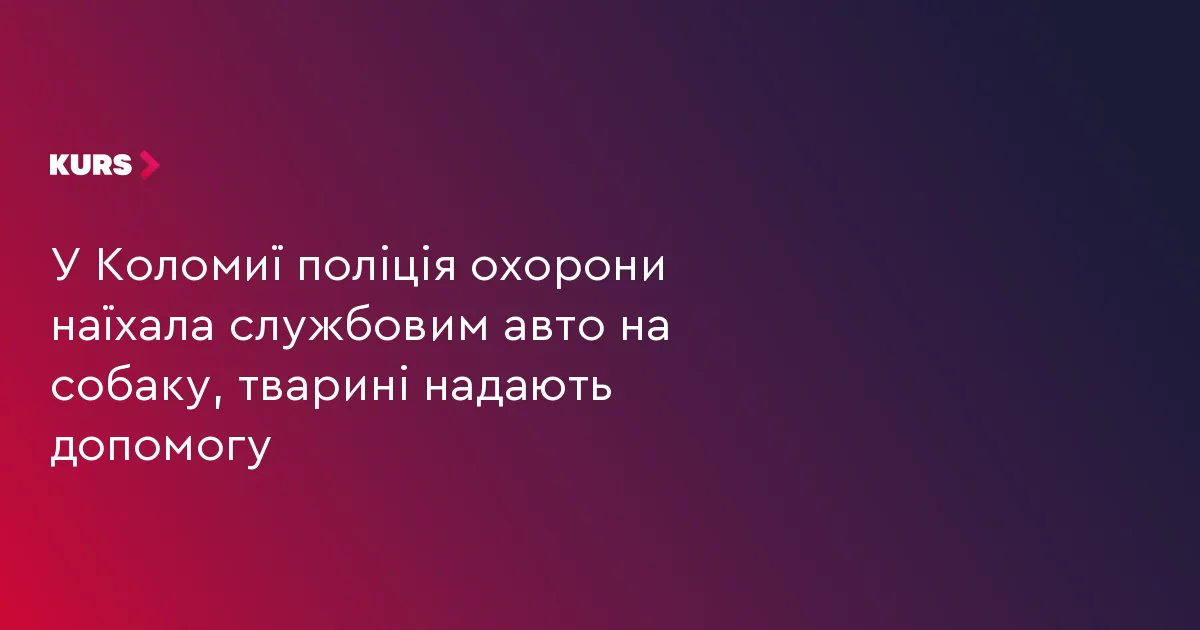 У Коломиї поліція охорони наїхала службовим авто на собаку, тварині надають допомогу