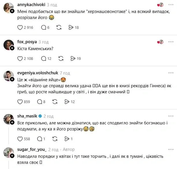 У клумбі виросло «відьмине яйце»: незвичайна знахідка здивувала українку