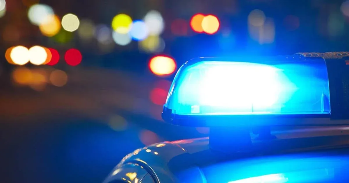 У Нью-Йорку шукають двох чоловіків, підозрюваних у серії крадіжок з комерційних авто