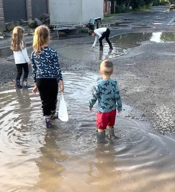 Ями, болото після дощу і жодного тротуару: у Луцьку жителі Степової чекають на ремонт дороги (фото, відео)