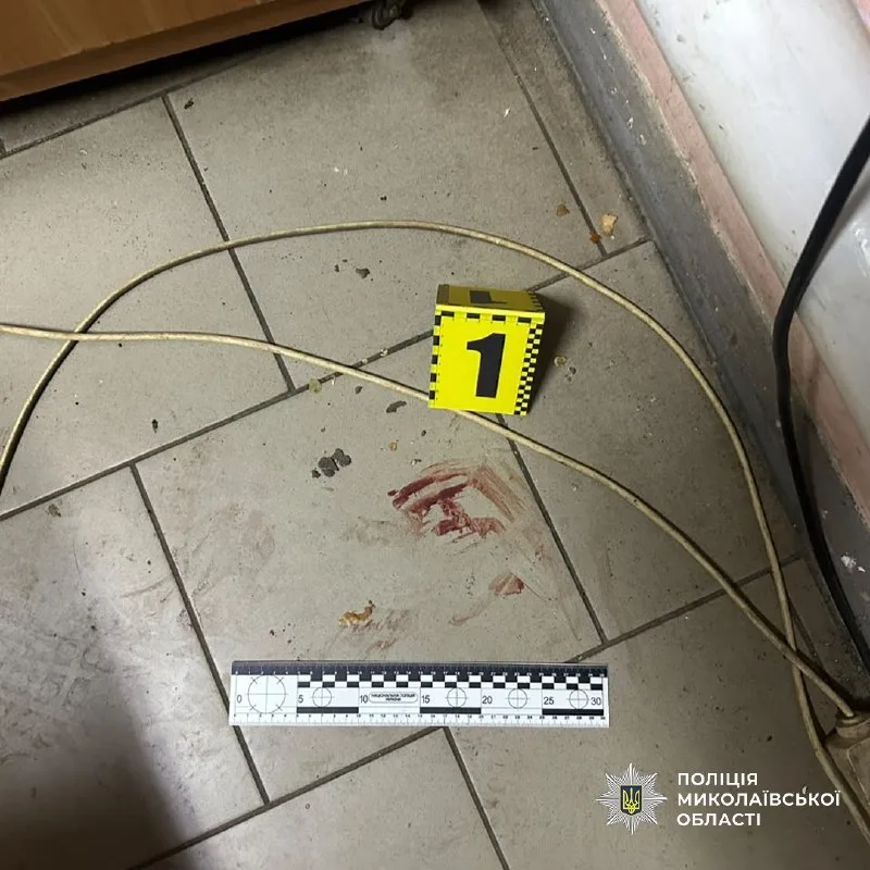 Сходив додому по ніж: на Миколаївщині чоловік ударив покупця в груди